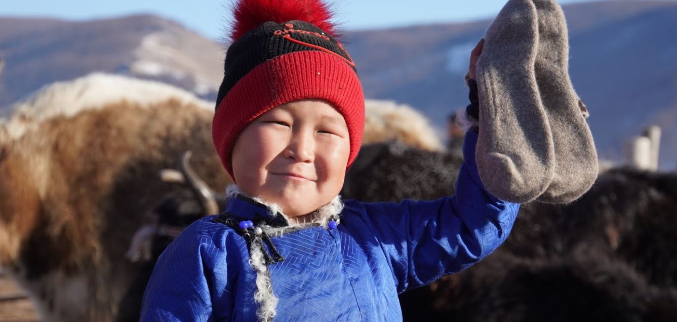 Load video: This video shows clips of harvesting by our yak herding family partners.