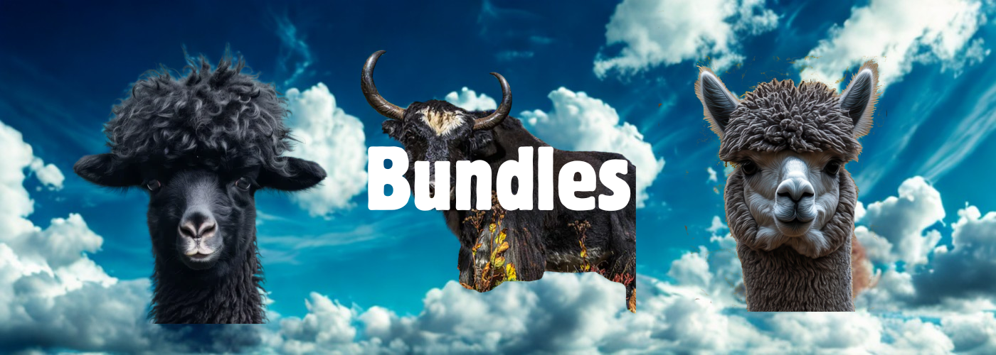 Bundles