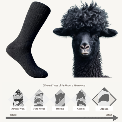 Baby Alpaca Hiking Socks - 6 Pack Bundle with 3 Colors