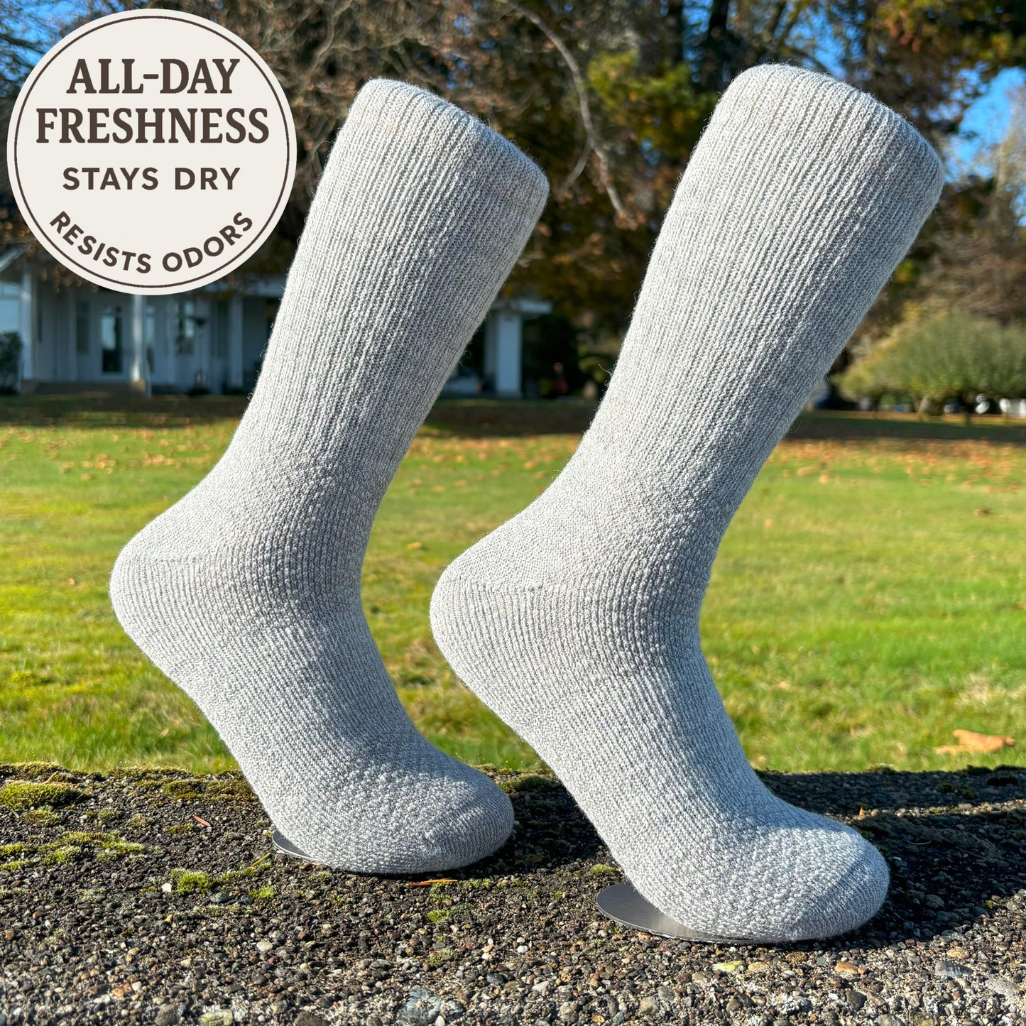Baby Alpaca Hiking Socks - 6 Pack Bundle with 3 Colors