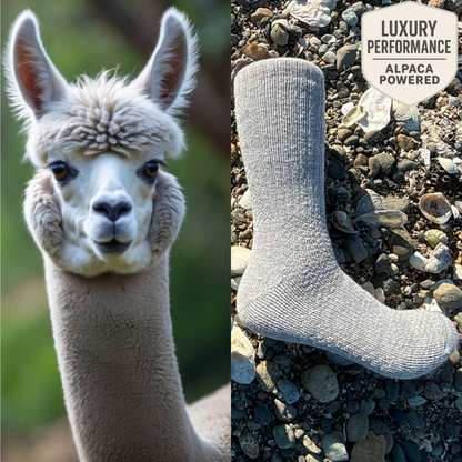 Alpaca-Trek Crew socks, Charcoal Grey XL
