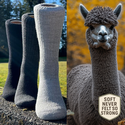 Baby Alpaca Hiking Socks - Crew (Alpaca-Trek) - 3 Pack Bundle with 3 Colors!