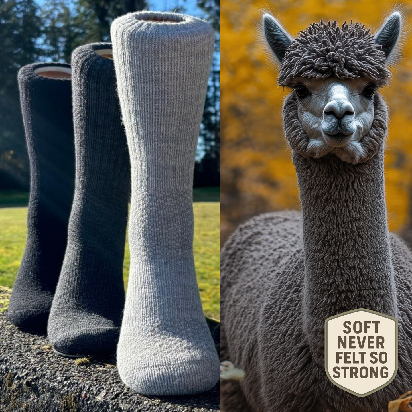 Baby Alpaca Hiking Socks - 6 Pack Bundle with 3 Colors