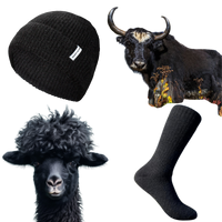Black Alpaca Socks + Yak Beanie Combo