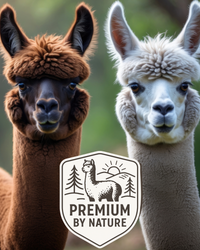 Baby Alpaca Hiking Socks — Over-the-Calf