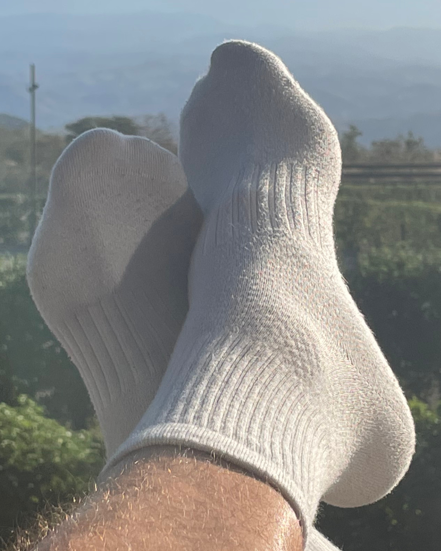 Day Trippers Thin Quarter Ankle Bamboo and Yak Cashmere Hiking Socks