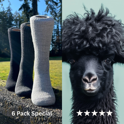 Baby Alpaca Hiking Socks - 6 Pack Bundle with 3 Colors