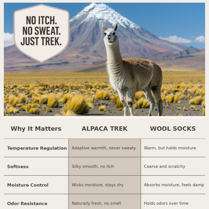 Baby Alpaca Hiking Socks - 3 Pack Bundle with 3 Colors