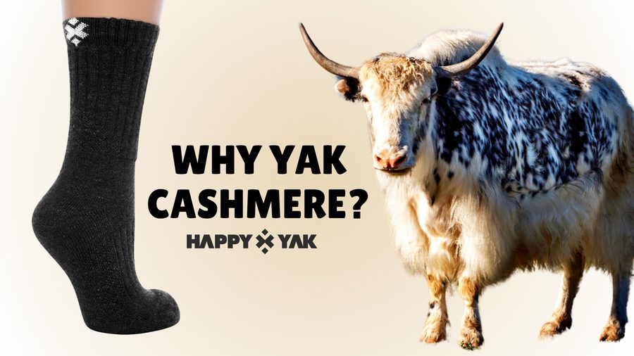 Happy Yak homepage video, Why Yak Cashmere?: a real yak cashmere sock next to a live yak on a cream background, Happy Yak logo